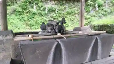 金櫻神社の手水舎