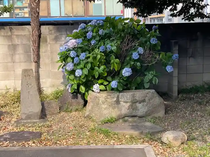 千蔵寺(神奈川県)
