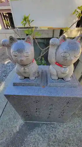 今戸神社の狛犬