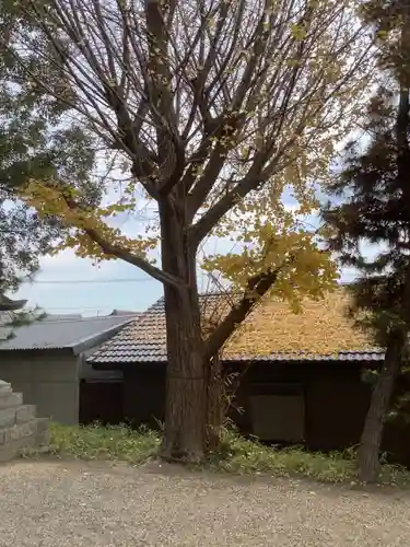 小垣江神明神社の自然