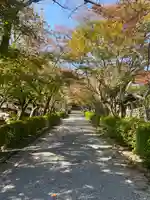 西教寺(滋賀県)