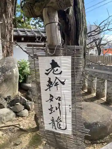 妙法寺(神奈川県)