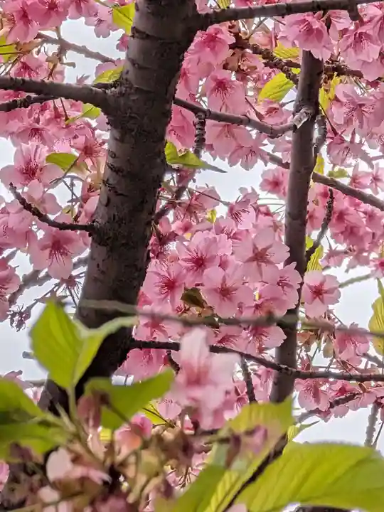 源空寺(東京都)