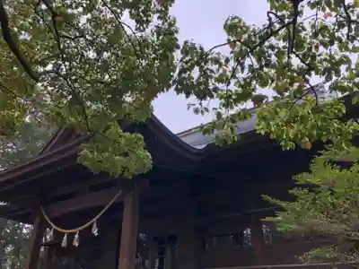 浜松八幡宮の本殿・本堂