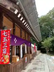 乃木神社の七五三参