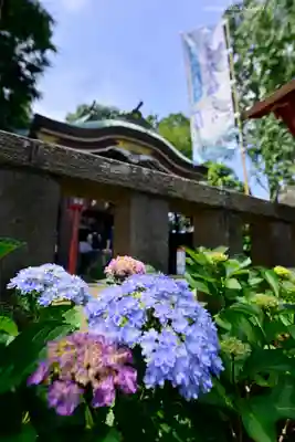 川越八幡宮(埼玉県)