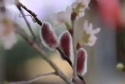 滑川神社 - 仕事と子どもの守り神の手水舎