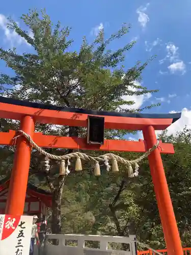 金櫻神社(山梨県)