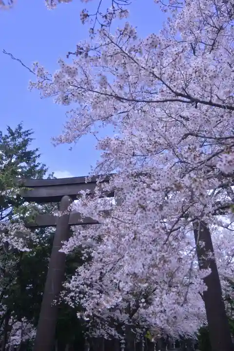 冨士御室浅間神社(山梨県)