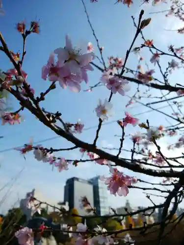 寛永寺不忍池弁天堂(東京都)