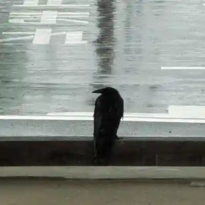 伊勢の国 四天王寺(三重県)