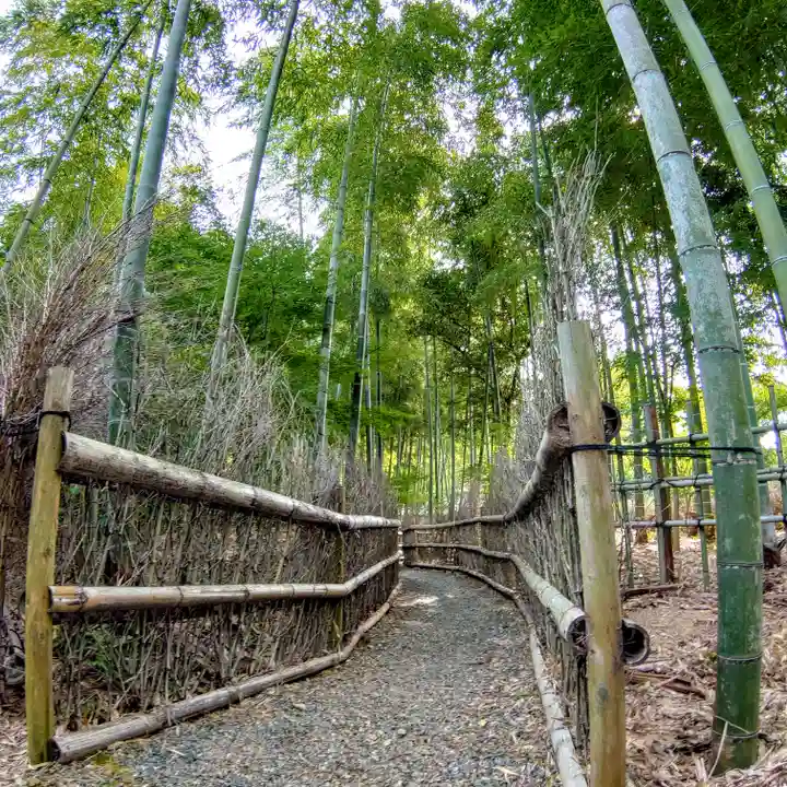 直指庵の御朱印