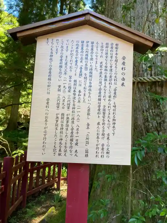 箱根神社の歴史