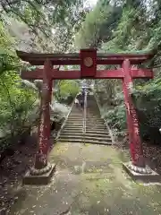 柞原八幡宮(大分県)