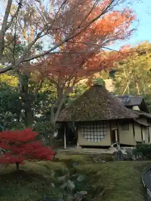 高台寺（高台寿聖禅寺・高臺寺）(京都府)