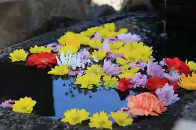 大鏑神社の手水舎