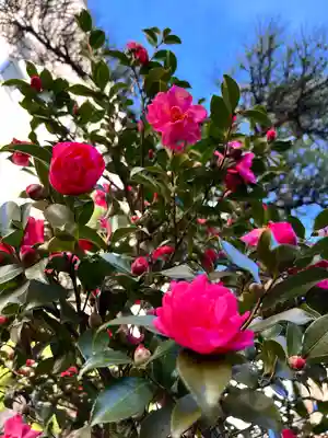 西光寺(長野県)