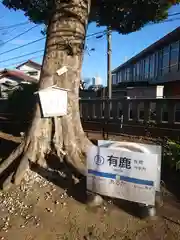 有鹿神社(神奈川県)