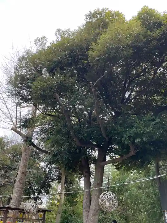 菊田神社(千葉県)
