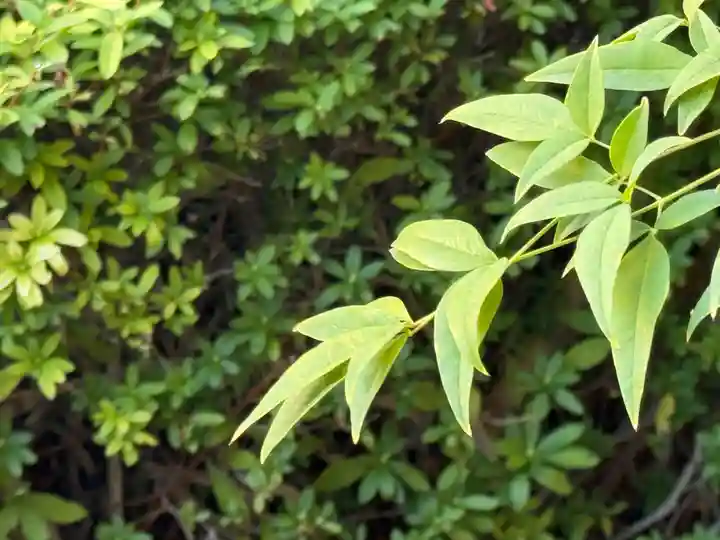 西方山極楽寺(岐阜県)