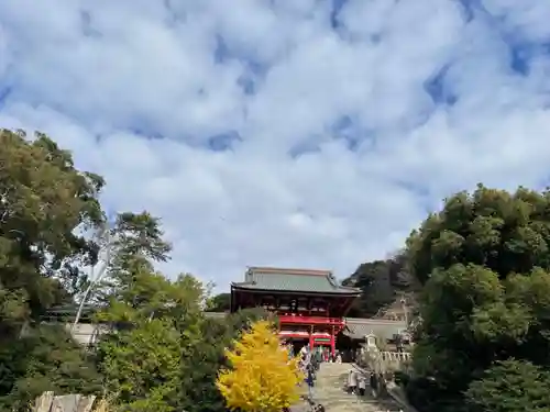 鶴岡八幡宮の景色