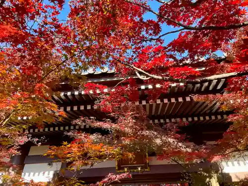 迎接院(東京都)
