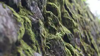 清荒神清澄寺(兵庫県)