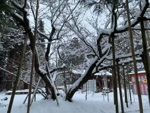 伊佐須美神社の{uncategorized: "未分類", other: "その他", undefined: "問題あり", building: "その他建物", grave: "お墓", sacred_gate: "鳥居", guardian: "狛犬", statue: "像", buddha: "仏像", history: "歴史", nature: "自然", garden: "庭園", animal: "動物", pagoda: "塔", temizu: "手水舎", mountain_gate: "山門・神門", sanctuary: "本殿・本堂", subordinate: "末社・摂社", art: "芸術", scenery: "景色", jizo: "地蔵", ema: "絵馬", goshuin: "御朱印", omikuji: "おみくじ", items: "授与品その他", amulet: "お守り", goshuincho: "御朱印帳", eats: "食事", festival: "お祭り", votive_dance: "神楽", shichigosan: "七五三参", wedding: "結婚式", experience: "体験その他", initially: "初詣", around: "周辺", anti_infection: "感染症対策"}
