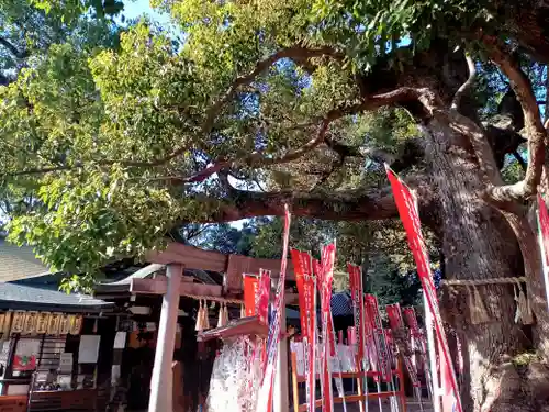 楠珺社（住吉大社末社）(大阪府)