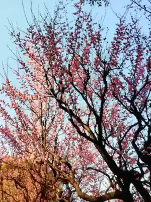 新井天神北野神社(東京都)