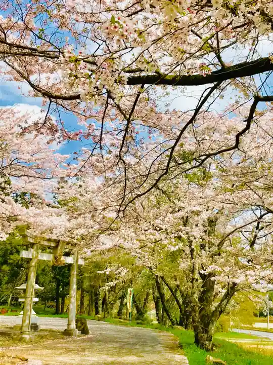 金嶽神社の鳥居