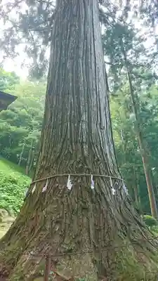 羽田神社のその他建物