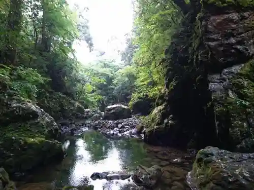 元伊勢天岩戸神社の自然