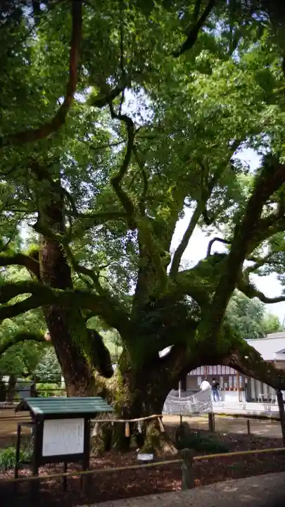 諫早神社(九州総守護 四面宮)(長崎県)