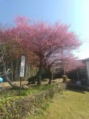 長寿寺(埼玉県)