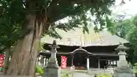 佐竹寺の本殿・本堂
