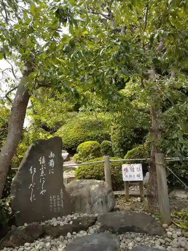 大船観音寺の庭園