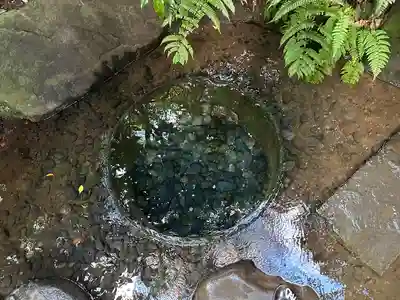 明治神宮(東京都)