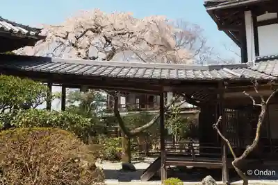 竹林院のその他建物