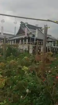 おふさ観音（観音寺）のその他建物