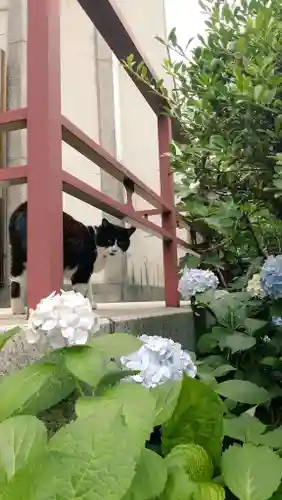 回向院(東京都)