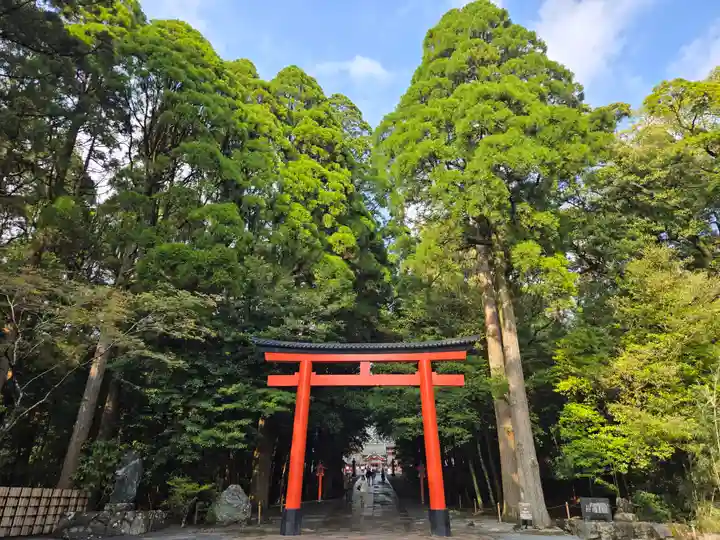 霧島神宮(鹿児島県)