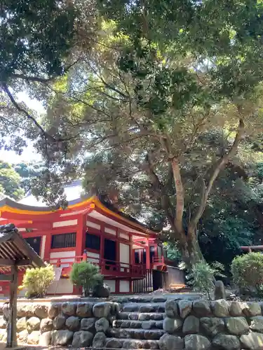 井草八幡宮の本殿・本堂