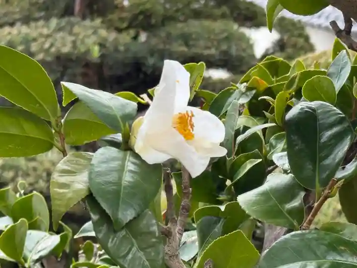 西方山極楽寺(岐阜県)