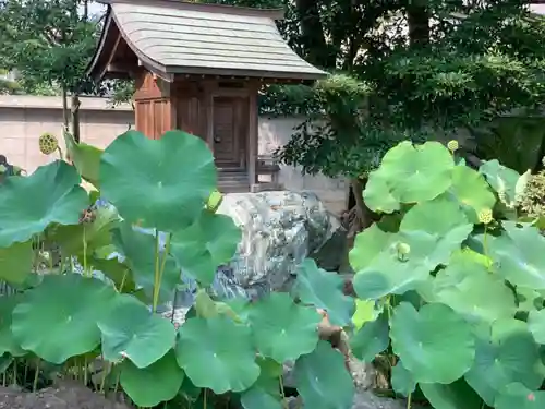 西林寺の本殿・本堂