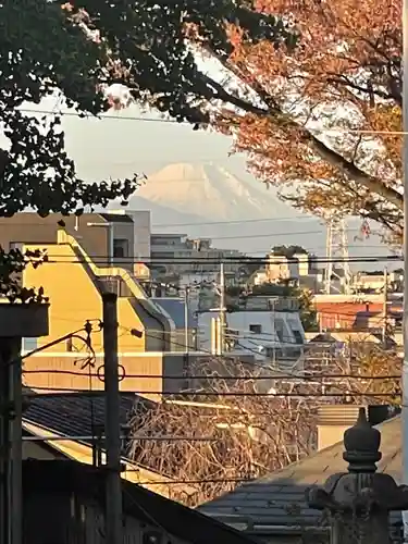 北澤八幡神社の景色