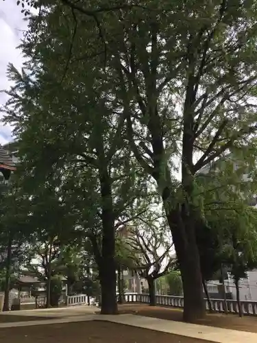 代田八幡神社の自然