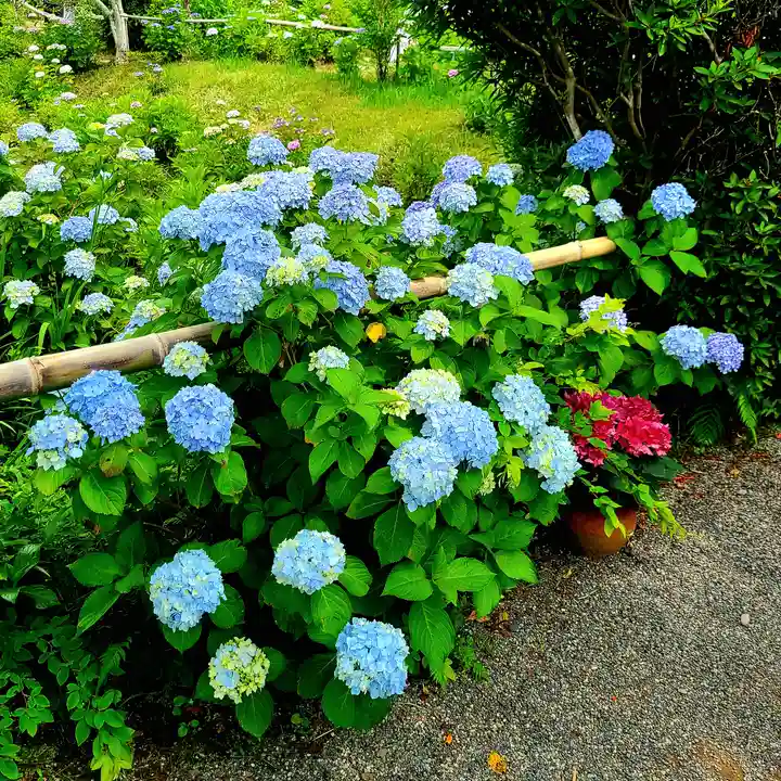 極楽寺(静岡県)