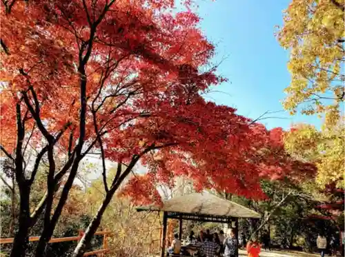 高尾山薬王院の自然