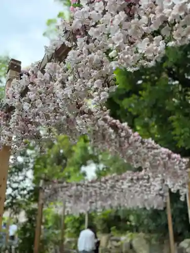 川越氷川神社(埼玉県)